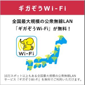 IIJ 【無料Wi-Fi付】BIC SIM ギ...の詳細画像4