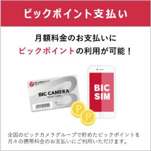 IIJ 【無料Wi-Fi付】BIC SIM ギ...の詳細画像5