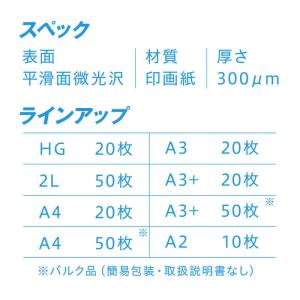 ピクトリコ 〔インクジェット〕 ピクトリコプロ...の詳細画像2