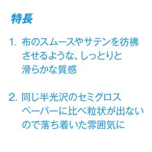ピクトリコ 〔インクジェット〕 ピクトリコプロ...の詳細画像3