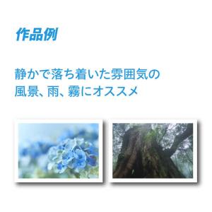 ピクトリコ 〔インクジェット〕 ピクトリコプロ...の詳細画像4