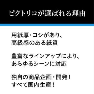 ピクトリコ 〔インクジェット〕 ピクトリコプロ...の詳細画像5