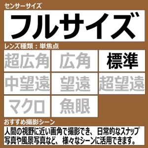 ソニー SONY カメラレンズ [ソニーE /...の詳細画像1