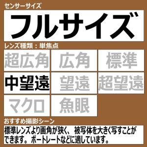 ソニー SONY カメラレンズ [ソニーE /...の詳細画像1