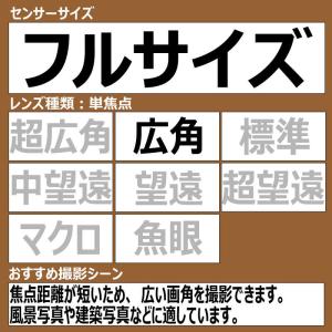 ソニー SONY カメラレンズ [ソニーE /...の詳細画像1