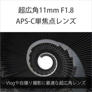 ソニー SONY カメラレンズ [ソニーE /...の詳細画像3