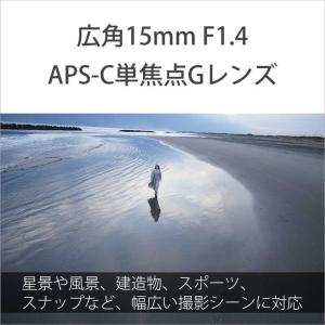 ソニー SONY カメラレンズ [ソニーE /...の詳細画像2