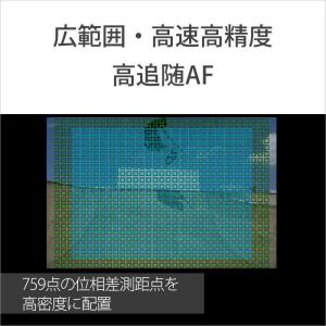 ソニー SONY α7 IV ミラーレス一眼カ...の詳細画像5