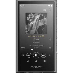 ソニー　SONY　ウォークマン WALKMAN Aシリーズ グレー[32GB/2023年モデル]　NW-A306 HC｜y-kojima