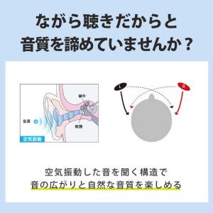 ソニー SONY ワイヤレスステレオヘッドセッ...の詳細画像2