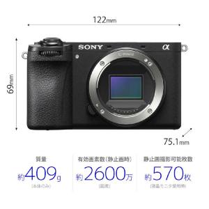ソニー SONY ミラーレス一眼カメラ α67...の詳細画像2