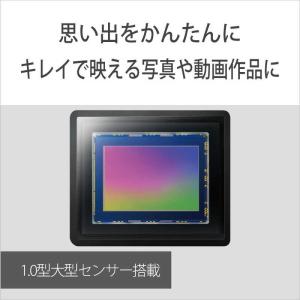 ソニー SONY 超広角単焦点レンズ一体型カメ...の詳細画像3