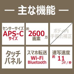 ソニー SONY ミラーレス一眼カメラ VLO...の詳細画像1