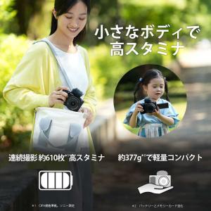 ソニー SONY ミラーレス一眼カメラ VLO...の詳細画像5