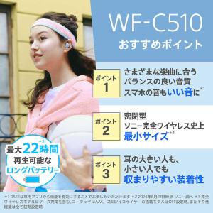 ソニー SONY フルワイヤレスイヤホン [ ...の詳細画像1