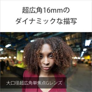 ソニー SONY カメラレンズ FE 16mm...の詳細画像2