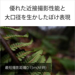 ソニー SONY カメラレンズ FE 16mm...の詳細画像4