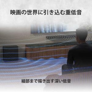 ソニー SONY サブウーファー SA-SW8の詳細画像4