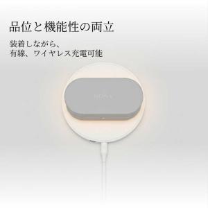 ソニー SONY WF-1000XM6用ケース...の詳細画像3