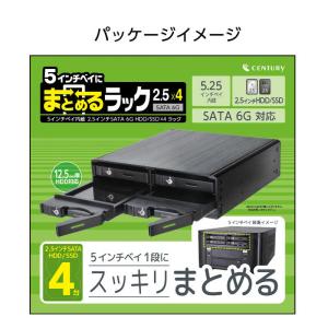 センチュリー 5インチベイ内蔵 2.5インチS...の詳細画像4