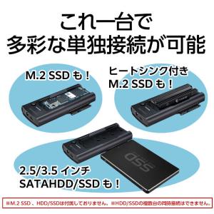 センチュリー 裸族の頭 NVMe/SATA 裸...の詳細画像1