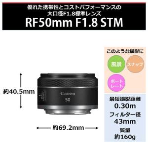 キヤノン CANON カメラレンズ ( キヤノ...の詳細画像2