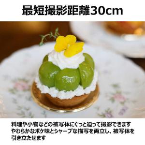 キヤノン CANON カメラレンズ ( キヤノ...の詳細画像4