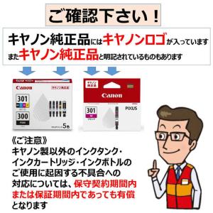 キヤノン CANON 純正 インクタンク PI...の詳細画像2
