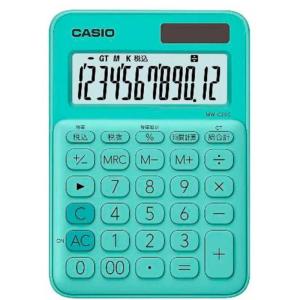 CASIO カシオ 特大表示電卓デスクタイプ DS-120TW 12桁 : HJN ヤフー店