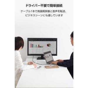 エレコム ELECOM 映像変換ケーブル US...の詳細画像4