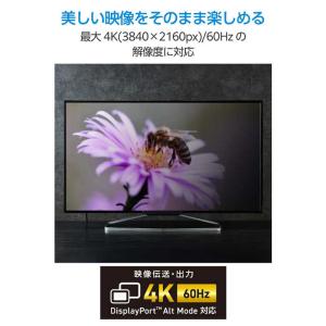 エレコム ELECOM 変換ケーブル Type...の詳細画像2