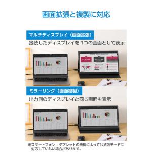 エレコム ELECOM 変換ケーブル Type...の詳細画像3