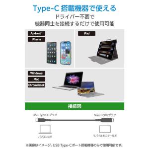 エレコム ELECOM 変換ケーブル Type...の詳細画像4
