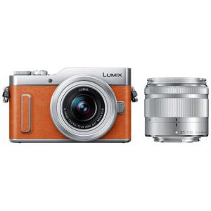 パナソニック　Panasonic　ＬＵＭＩＸ　ＧＦ１０【ダブルズームキット】　DCGF10WAD