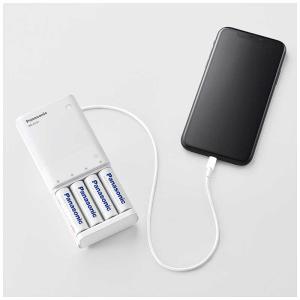 パナソニック Panasonic USB入出力...の詳細画像3