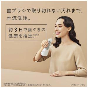 パナソニック Panasonic 口腔洗浄器 ...の詳細画像4
