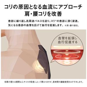 パナソニック Panasonic 高周波治療器...の詳細画像5