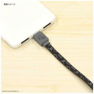 グルマンディーズ Type-Cケーブル PD6...の詳細画像2
