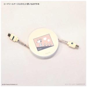 グルマンディーズ Type-Cケーブル PD6...の詳細画像3