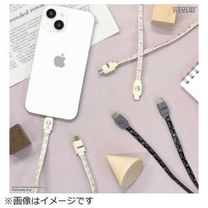 グルマンディーズ Type-Cケーブル PD6...の詳細画像4