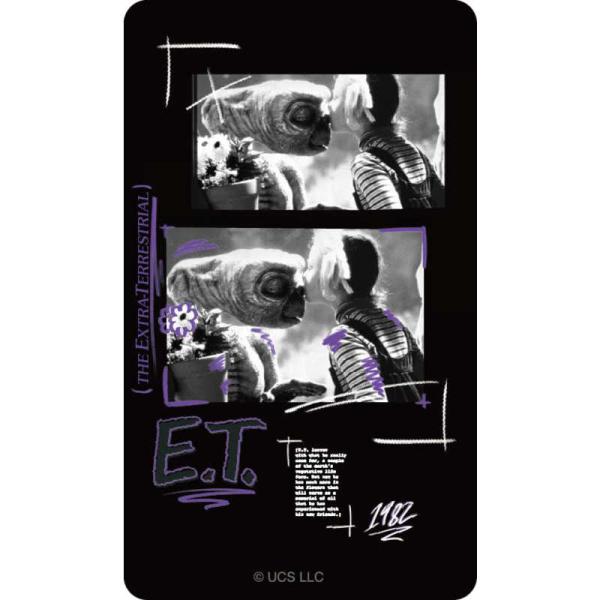 グルマンディーズ　スマ冷え Premium E.T. 　ET-17A