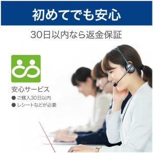 ソースネクスト ZERO ウイルスセキュリティ...の詳細画像4