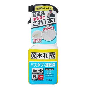 LEC（レック） 洗剤 茂木和哉 おふろのなまはげ 水アカ・皮脂汚れ用