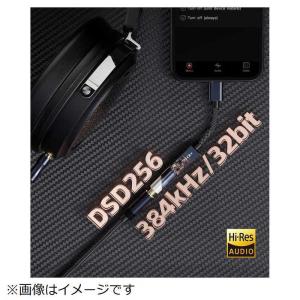 FIIO ヘッドホンアンプ KA11 Type...の詳細画像3