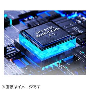 FIIO ヘッドホンアンプ BTR13 [ ハ...の詳細画像4