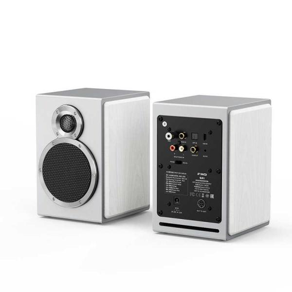 FIIO　SA1 ［ハイレゾ対応 / 2本］ White　FIO-SA1-W