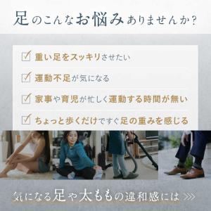日創プラス NIPLUX ニップラックス LE...の詳細画像3