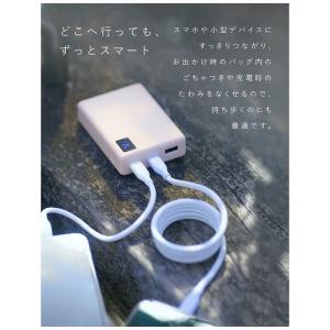 CIO SPIRAL CABLE CtoC ラ...の詳細画像4