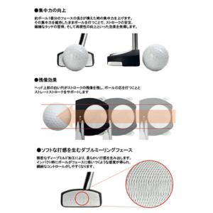 LYNX ゴルフ用品 ミニパター コスパイイダ...の詳細画像2