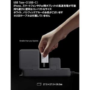 新東京物産 20W PD Nano 急速充電器...の詳細画像1